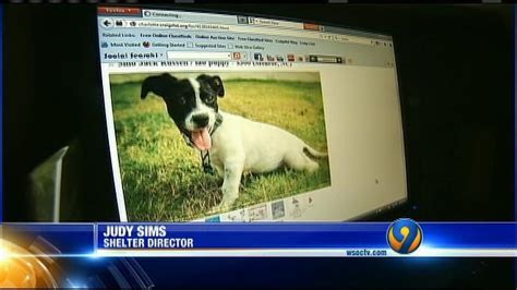 craigslist For Sale "dogs" in Eastern NC. . Craigslist pets eastern nc